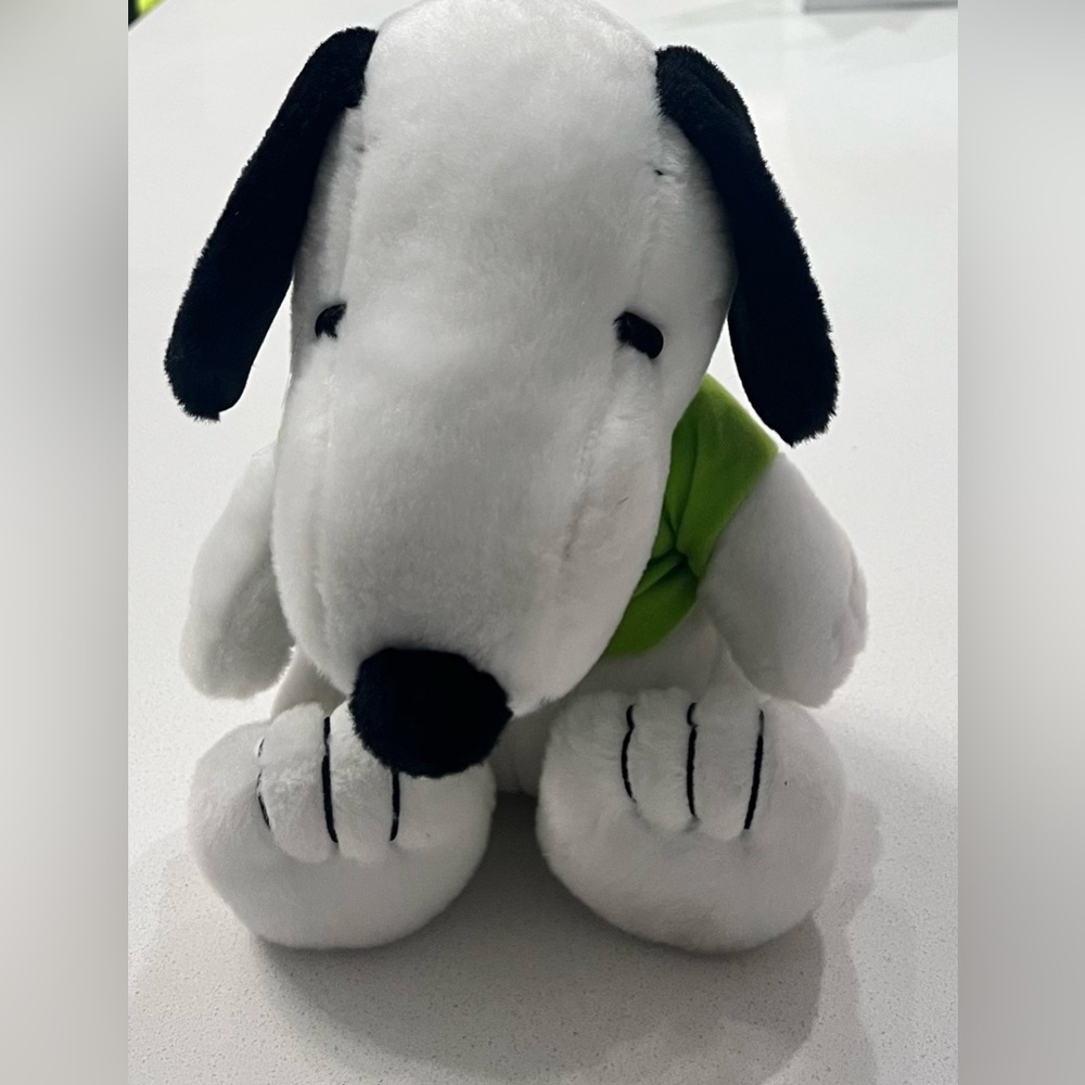 Peanuts Knots‎ Berry Farm Snoopy Plush in Green Shirt 10”